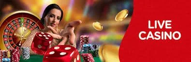 playuzu El casino que habla tu idioma y acepta tus pagos